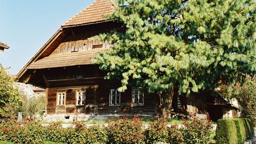 Altes Lindenhaus